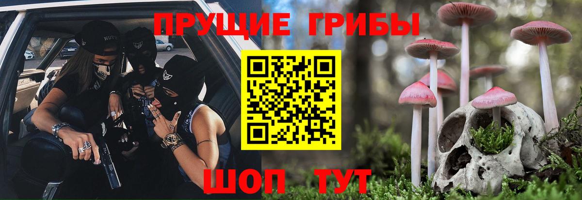 Псилоцибиновые грибы прущие грибы Кингисепп
